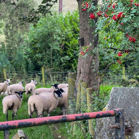 Bassenthwaite Farm Cottage Εξωτερικό φωτογραφία