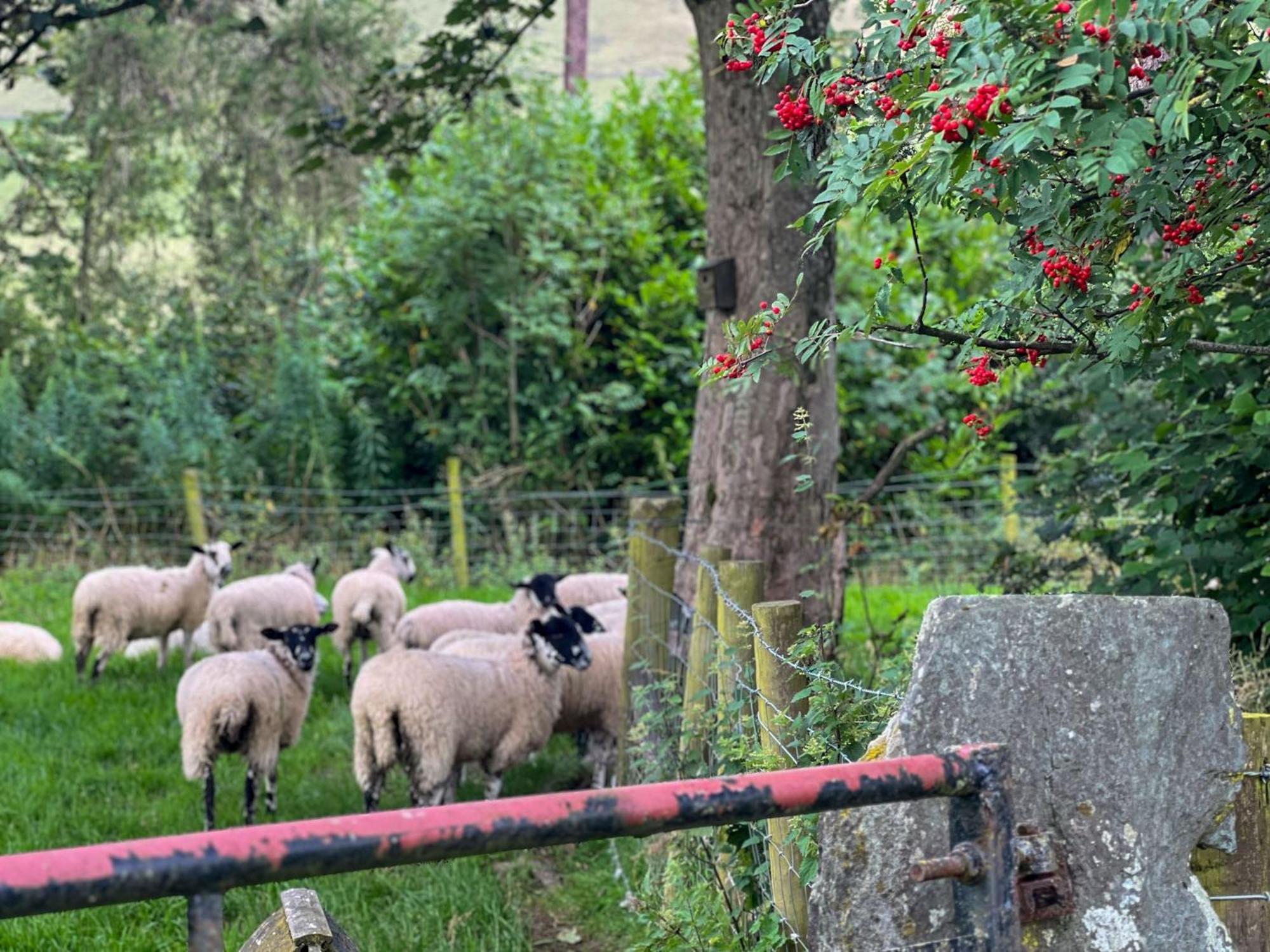 Bassenthwaite Farm Cottage Εξωτερικό φωτογραφία